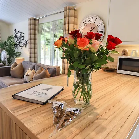 Holiday home Black Dog Windermere