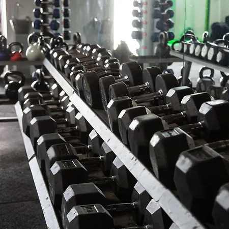 Black Dog Casa de Férias