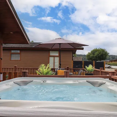 Black Dog Windermere