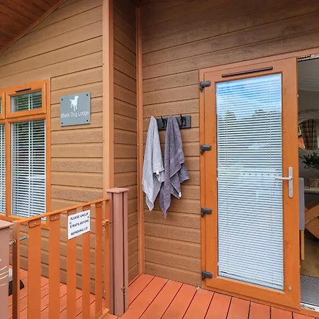 Black Dog Windermere